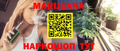шишки Дубна