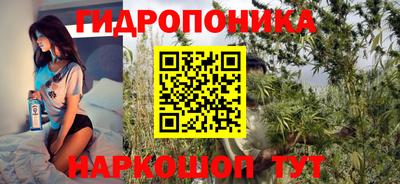 шишки Дубна