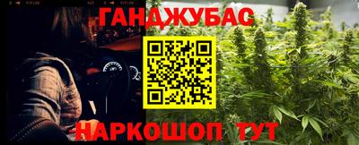шишки Дубна
