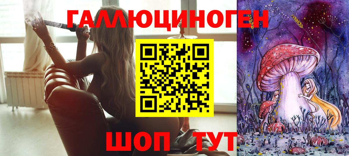 Ленинск-Кузнецкий  Галлюциногенные грибы Cubensis  Вход с VPN 