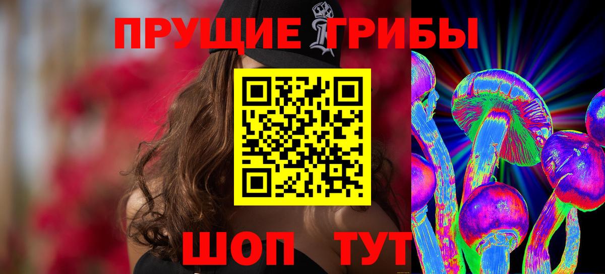 Псилоцибиновые грибы Psilocybe Ленинск-Кузнецкий